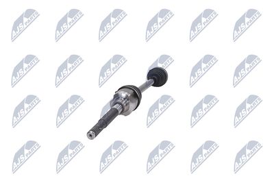 PLANETARA NTY NPWCH044 35