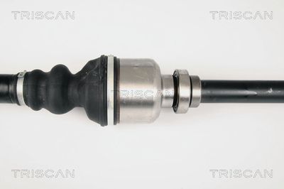 PLANETARA TRISCAN 854028558 2