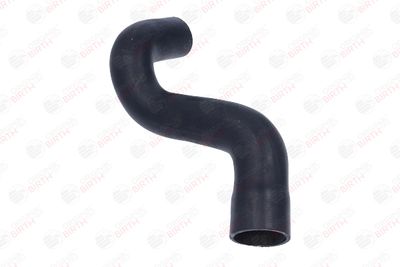 FURTUN EAR SUPRAALIMENTARE BIRTH 55817 3