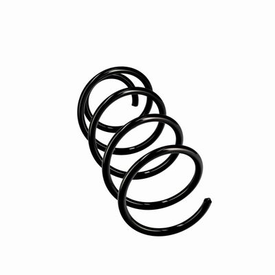ARC SPIRAL EIBACH R10223 12
