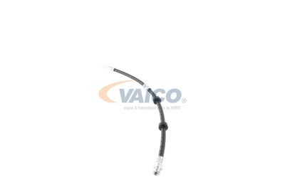 FURTUN FRANA VAICO V104226 12