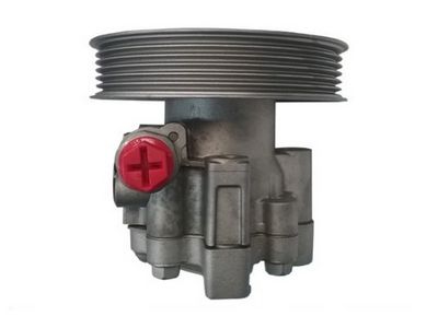 HYDRAULIKPUMPE LENKUNG SPIDAN 54987 2