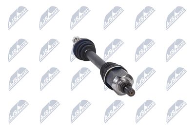 PLANETARA NTY NPWCT053 31