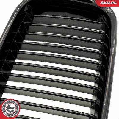 GRILA RADIATOR ESEN SKV 66SKV043 6