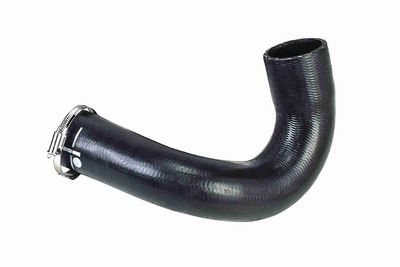 FURTUN EAR SUPRAALIMENTARE