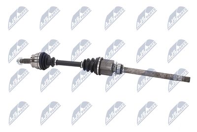 PLANETARA NTY NPWFT051 26