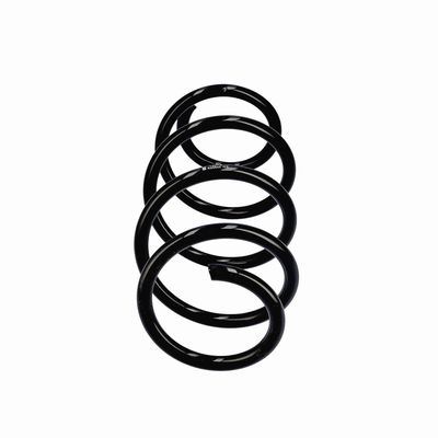 ARC SPIRAL EIBACH R22922 1