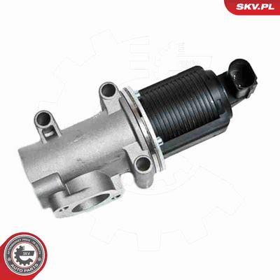 SUPAPA EGR ESEN SKV 14SKV006 4