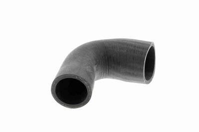 FURTUN EAR SUPRAALIMENTARE