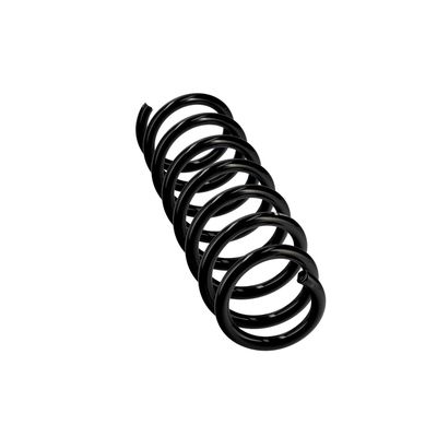 ARC SPIRAL EIBACH R23065 24