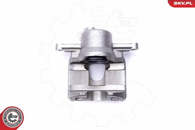 Brake Caliper 46SKV971