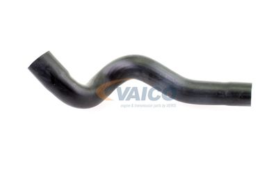LADELUFTSCHLAUCH VAICO V102840 11