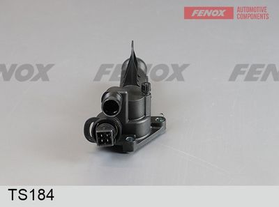 термостат, охладителна течност FENOX TS184