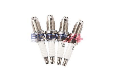 BUJII BOGAP A1514159 2