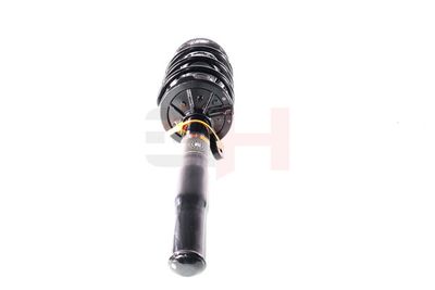 46 Artikelbild