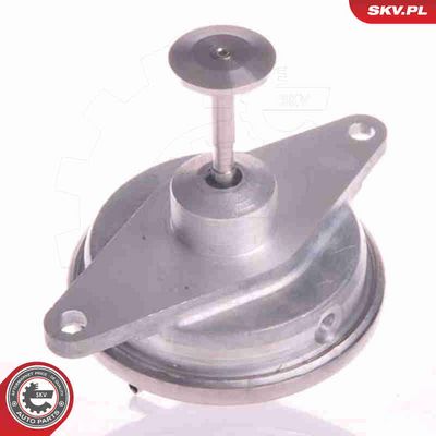 SUPAPA EGR ESEN SKV 14SKV022