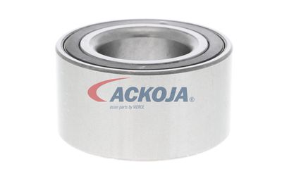 SET RULMENT ROATA ACKOJA A380092 25