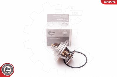 Thermostat, coolant 20SKV048