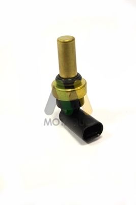 SENZOR TEMPERATURA LICHID DE RACIRE