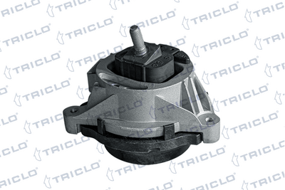 окачване, двигател TRICLO 363180