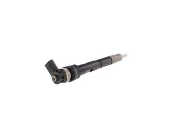 INJECTOR REMANTE 002003000034R 31
