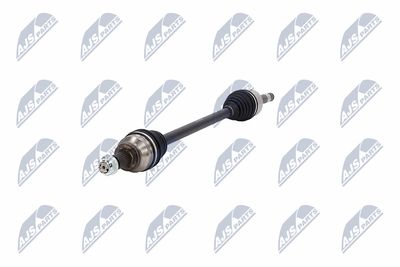 PLANETARA NTY NPWAR016 19