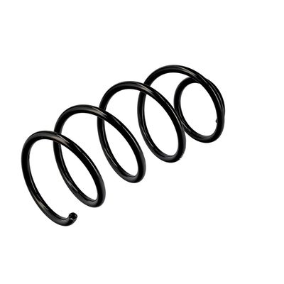 ARC SPIRAL EIBACH R10489 16