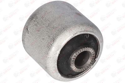 SUPORT TRAPEZ BIRTH 2129 9