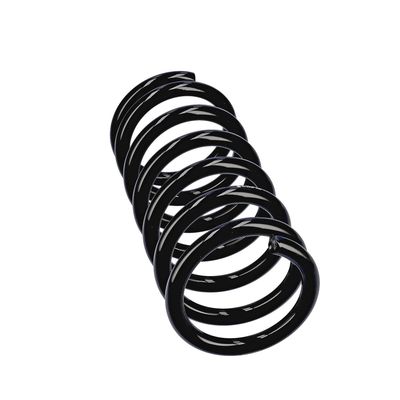 ARC SPIRAL EIBACH R13306 24