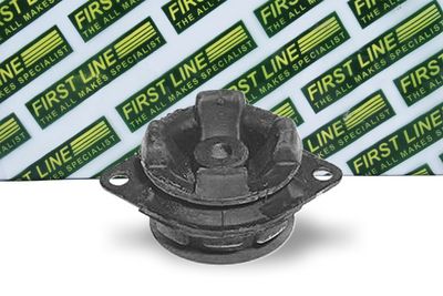 окачване, двигател FIRST LINE FEM3471