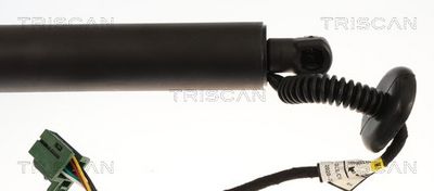 Plynárenská vzpera (pneumatická pružina), zavazadlový priestor TRISCAN 8710 23325