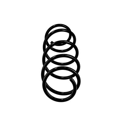ARC SPIRAL EIBACH R10001 1