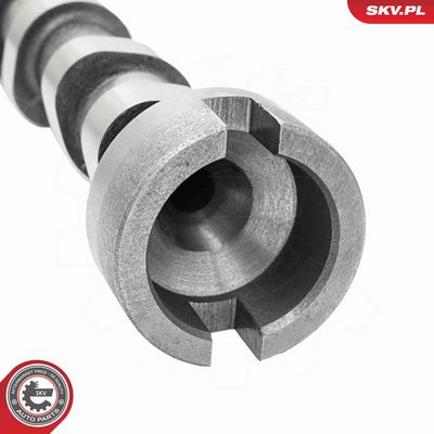 AX CU CAME ESEN SKV 80SKV041 4