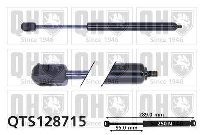 Газовая пружина, заднее стекло QUINTON HAZELL QTS128715 для CITROËN C5