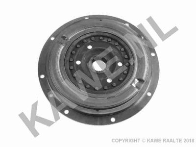 AMORTIZOR TORSIUNE AMBREIAJ