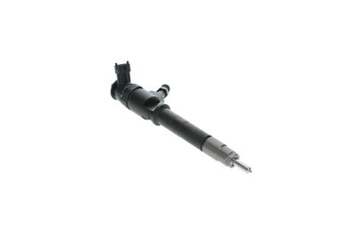 INJECTOR BOSCH 0445110250 19