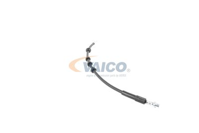 FURTUN FRANA VAICO V207363 35