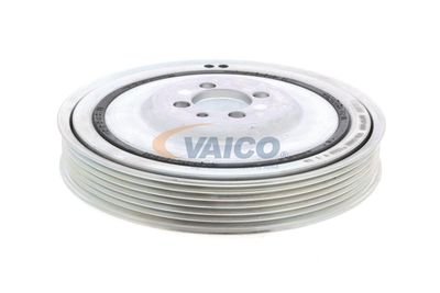 SET FULIE ARBORE COTIT VAICO V240865 16