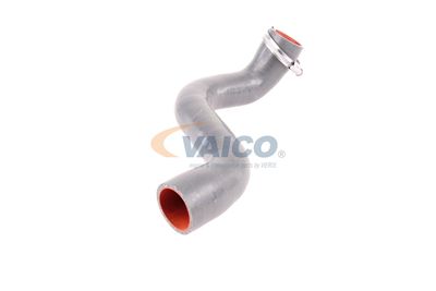 FURTUN EAR SUPRAALIMENTARE VAICO V460823 50