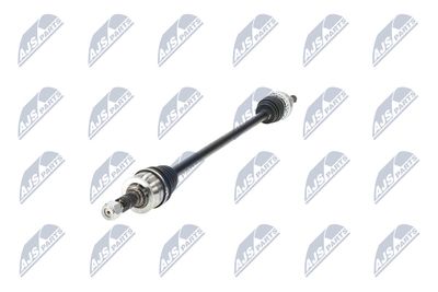 PLANETARA NTY NPWPL175 19