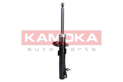 Shock Absorber 2000262