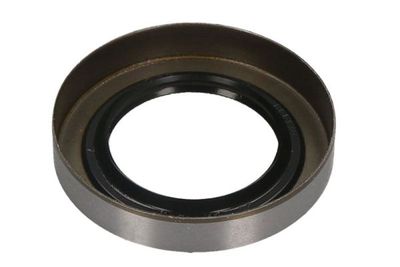 Wiellager ring (achter)