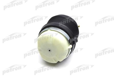 PATRON PAS1001 PATRON PAS1001