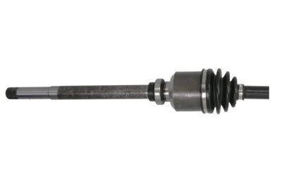 Drivaxel PASCAL G2P026PC för CITROËN
