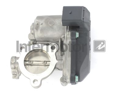 EGR Valve Intermotor 18041