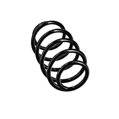 ARC SPIRAL EIBACH R11005 12