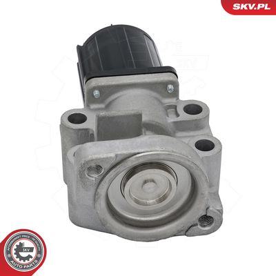 AGR-Ventil ESEN SKV 14SKV300