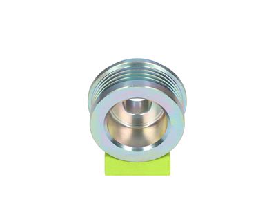 RIEMENSCHEIBE GENERATOR VALEO 595429 22