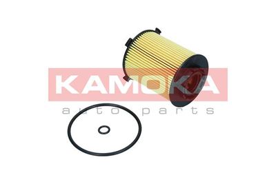 Oil Filter F116201