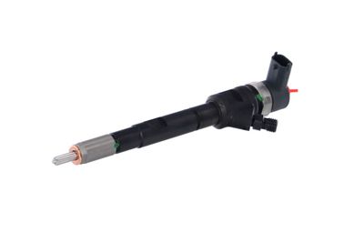 INJECTOR REMANTE 002003001196R 65